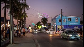 Oistins Fish Fry Barbados 🇧🇧 2 [upl. by Somerset]