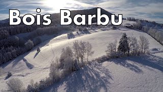 Bois Barbu [upl. by Nipahc151]