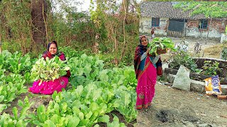 खेत का ताजा मुली से आज शाम का खाना बनाएंगे मूली की छौका सब्जी और मकई की रोटी Bihari Muli ki bhujiya [upl. by Handel]