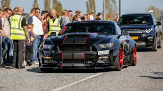 BEST OF Ford Mustang Sounds  Alphamale Widebody 400HP Ecoboost Mustang GT350R Roush Mustang [upl. by Eiuqnimod]