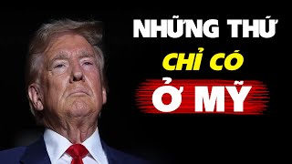 Ông Trump đã cho thấy nước Mỹ điên rồ như thế nào [upl. by Rialb221]