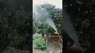 New Tree cutting ✂️ technolgy 🤯amazingfacts science interestingfacts amazing shorts [upl. by Gilli]