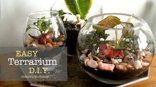 Easy DIY Glass Terrariums [upl. by Aneela123]