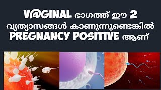 2 Early Pregnancy Symptoms Deechus world Malayalam [upl. by Marijo364]