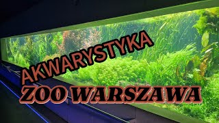 Akwarystyka zoo Warszawa  opowiada Grzegorz [upl. by Oiled]