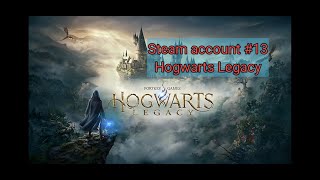 Steam Account 13 With Hogwarts Legacy [upl. by Gamin]