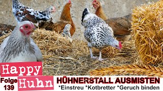 E139 Ausmisten Stallhygiene Einstreu und Kräuterheu im Hühnerstall  HAPPY HUHN Kotanalyse Hühner [upl. by Nahsez100]