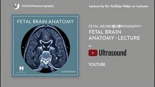 Fetal Neurosonography Fetal Brain Anatomy [upl. by Yecnay]