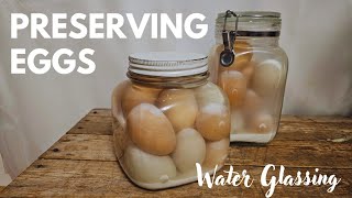 How to preserve fresh eggs for longterm storage without refridgeration [upl. by Ida]