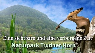 Naturpark Trudner Horn  geosfilm [upl. by Aiuqes]