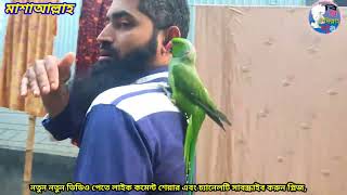 8 November 2024 কথা বলা টিয়া পাখি মানুষের মত কথা বলে। Kotha bola Tia Pakhi টিয়া পাখি কথা বলে। [upl. by Atelra]