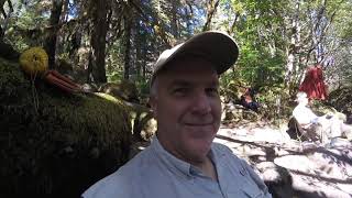 PCT Washington Section H  Crest Horse Camp to Cascade Locks  August 2019 [upl. by Enillebyam]