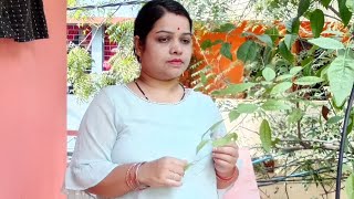 Aadya mansi odia vlogs is live Asa tike katha heba [upl. by Ethbun]