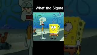 ommm what the sigma [upl. by Nylcoj]