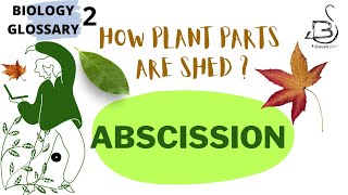 ABSCISSION  PLANT PHYSIOLOGY [upl. by Akira62]