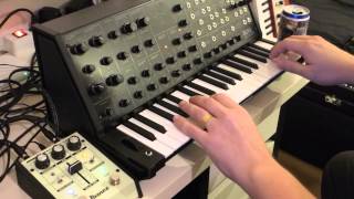 KORG ms20 mini jam session [upl. by Leynad]