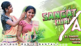 New Santali Dj Song 2024 👿 New Santali Dj Sangat Kuri Ya 👿 Dj SanDeep Santosh Sudish [upl. by Klara]