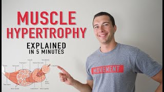 What is Muscle Hypertrophy  Physiology and Mechanisms of Muscle Growth in 5 minutes [upl. by Aisiram]