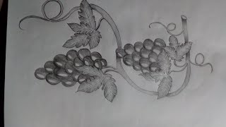 How to draw grapes with pencil  muskan drawing amp art [upl. by Peednam355]