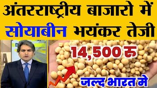 26 अक्टूबर 2024 aaj ka soybean bhav soyabean ka bhav soya ka rate soybean mandi bhavsoya plant [upl. by Renny]