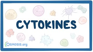 Cytokines [upl. by Dehsar108]