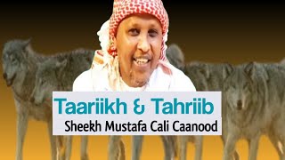 Taariikh amp Tahriib  Sh Mustafa Caanood  Kismaayo [upl. by Marty]