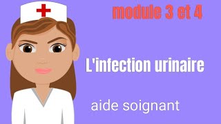 Linfection urinaire  causes  symptômes  complications aidesoignante [upl. by Karl78]