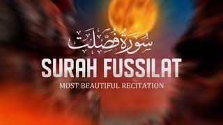 Surah Fussilat  Explained in Detail  Quranic Guidance [upl. by Ahgem]