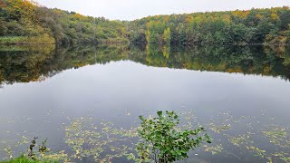 Herbstspaziergang am Oberwaldsee [upl. by Tlevesoor]