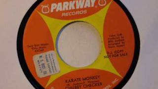 Chubby Checker  Karate Monkey [upl. by Ajak]