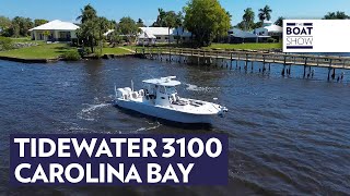 TIDEWATER 3100 Carolina Bay  Fishing Boat Review  The Boat Show [upl. by Helene]