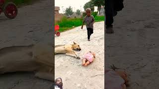 funny cute cutebaby dog baby cutelovestory lovemarriage iceeatingshow comedyfilms cutecome [upl. by Bever]