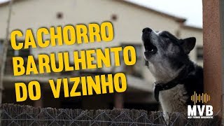 Barulho de cachorros como resolver [upl. by Publius]