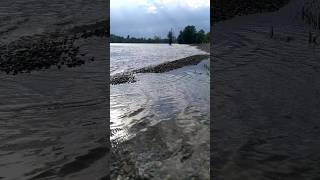 Strandbad Mannheim Hochwasser fließt ab [upl. by Attirb]