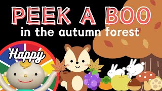 Baby Sensory【PEEK A BOO】High contrast animation with cute sounds【in the autumn forest】 [upl. by Paxon]