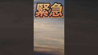 緊急で現れたのは？ airplane airport 警察 航空機 旅客機 救命救急 飛行場 出雲空港 縁結び 出雲大社 shorts [upl. by Radack708]