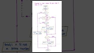 Flowchart  Prime or not shorts shortvideo viral [upl. by Isle]