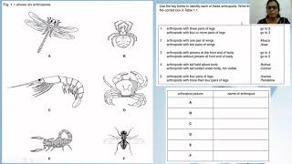 Unit 1 Classification Dichotomous key with past paper questions [upl. by Yeliab310]