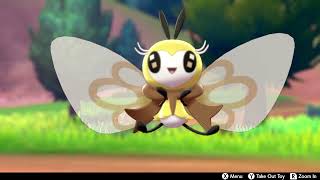 Ribombee is very cute [upl. by Eelra]