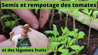 Les semis et le rempotage des tomates [upl. by Ezzo]