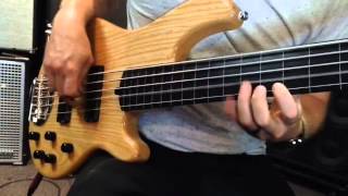 Lakland 5501 Fretless Bass [upl. by Karp]