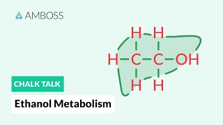 Ethanol Metabolism Alcohol Breakdown in the Body [upl. by Annmarie470]