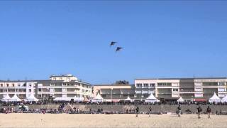 CerfsVolants Berck 2014  CerfsVolants Folie [upl. by Lionel]