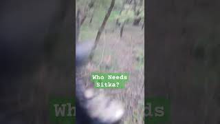 Who Needs Sitka Part 2 hunting wildlife deerhunting bowhunting whitetailbucks bucks [upl. by Cott]