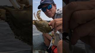 Crabbing tricks from a PROFESSIONAL crabber bodkinpointseafood bluecrabs crabber tipsandtricks [upl. by Ennaul123]