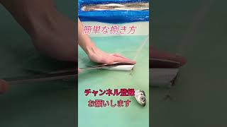 ウルメイワシ！フライ用開き方shorts short new fish howto japan おすすめ 簡単 料理 釣り チャレンジ 人気 趣味 ミッション [upl. by Eerol]