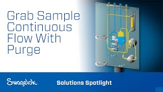 Grab Sample Continuous Flow With Purge  Solutions Spotlight  Swagelok 2020 [upl. by Eirrehc]