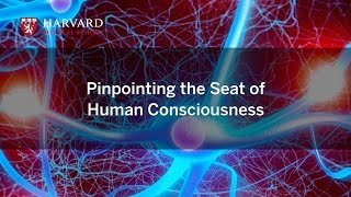 Pinpointing the Seat of Human Consciousness [upl. by Capriola157]