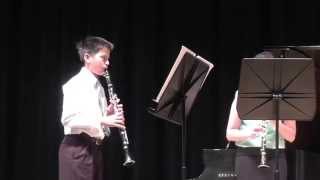 Mozart Clarinet Trio Divertimento from Don Giovanni Aria [upl. by Eustazio]