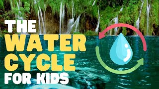 The Water Cycle for Kids  Learn all about the water cycle [upl. by Neellek861]